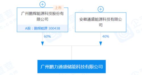 鹏辉能源参股设立储能公司